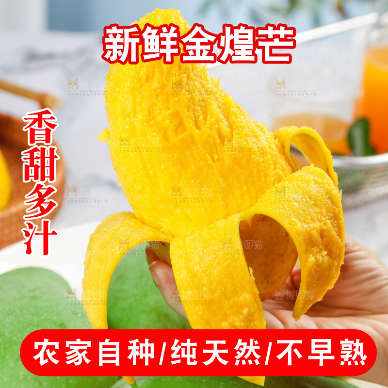 浅底上的绿皮金煌芒