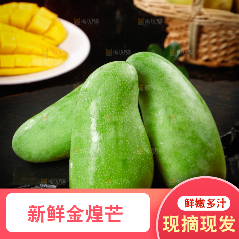 浅底上的绿皮金煌芒