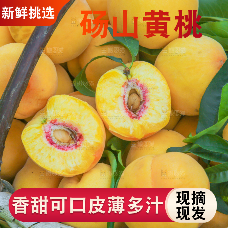 手里拿着黄毛桃