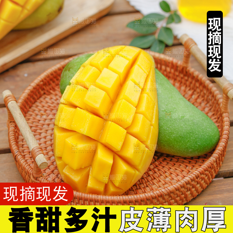 浅底上的绿皮金煌芒