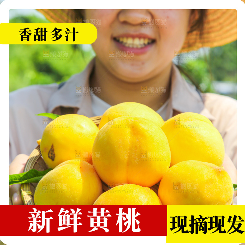 手里拿着黄毛桃
