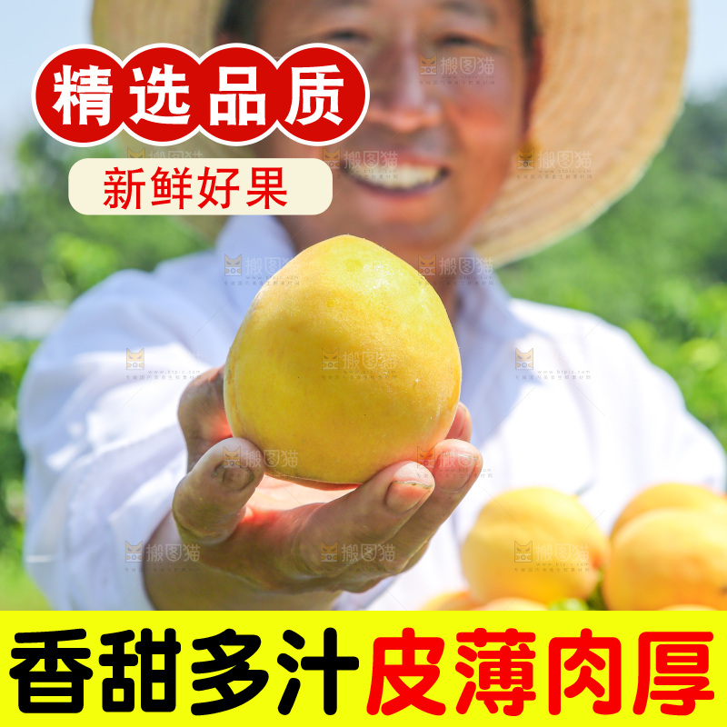 手里拿着黄毛桃