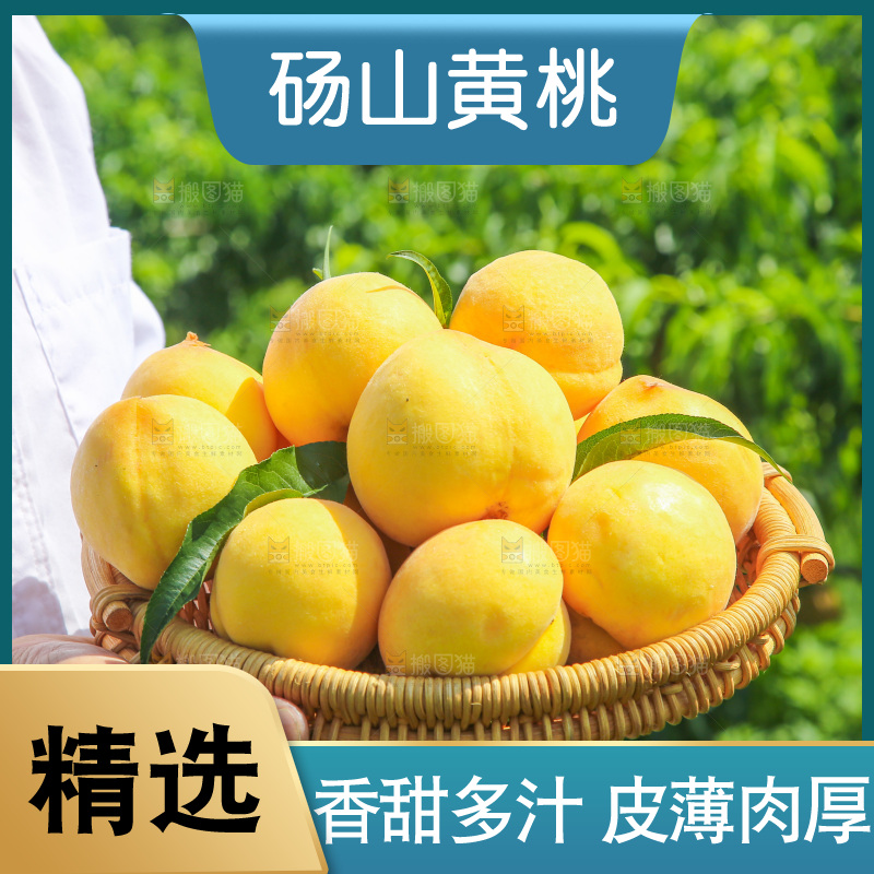 手里拿着黄毛桃
