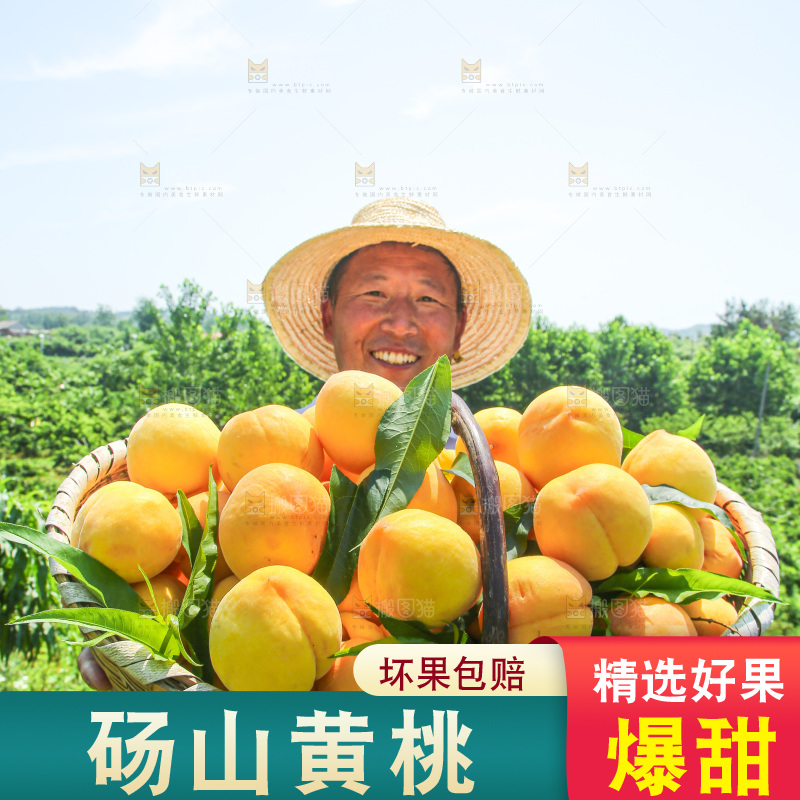 手里拿着黄毛桃