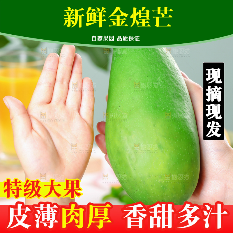 浅底上的绿皮金煌芒