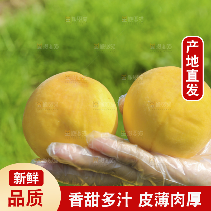 手里拿着黄毛桃
