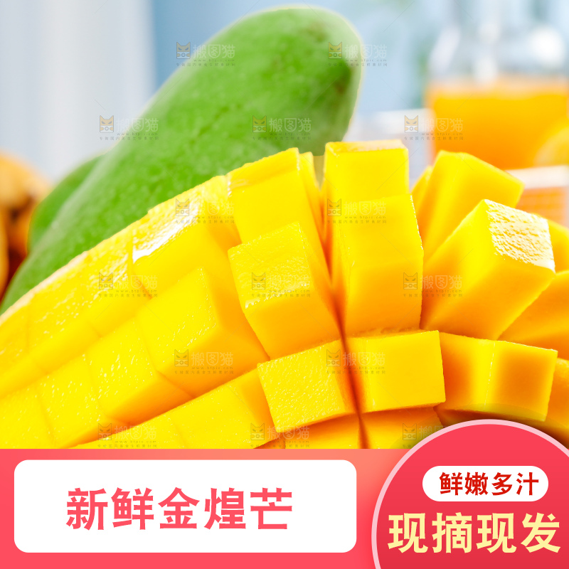 浅底上的绿皮金煌芒