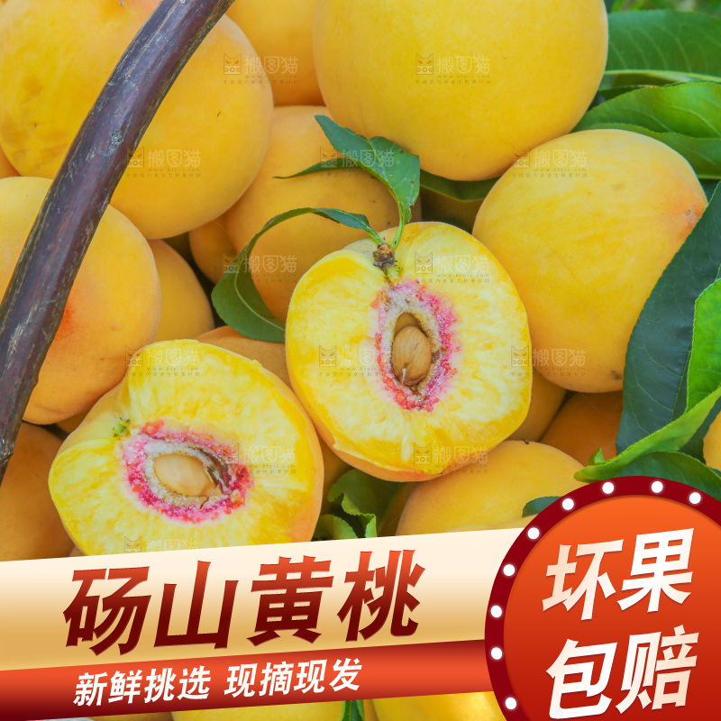手里拿着黄毛桃