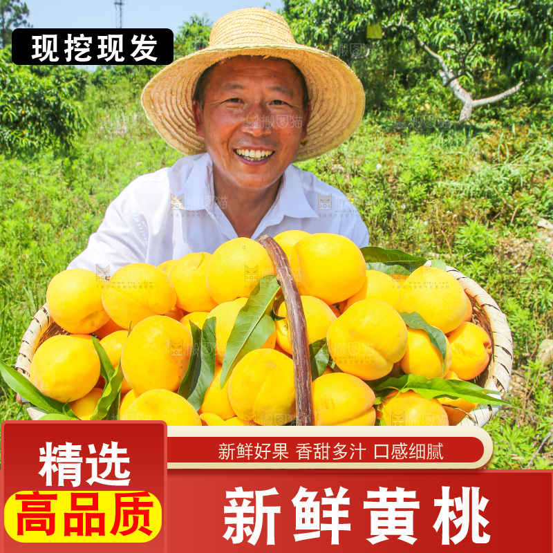 手里拿着黄毛桃