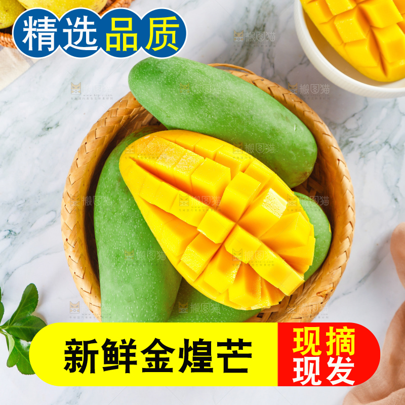 浅底上的绿皮金煌芒