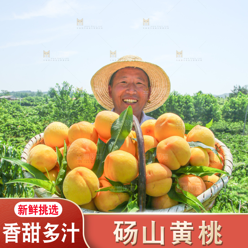 手里拿着黄毛桃
