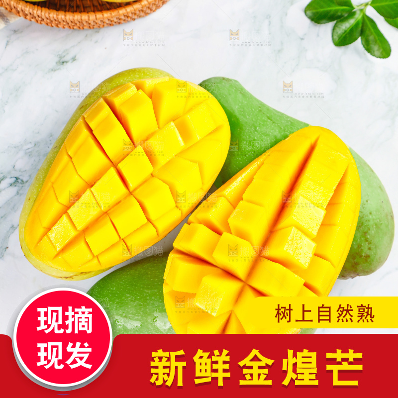 浅底上的绿皮金煌芒