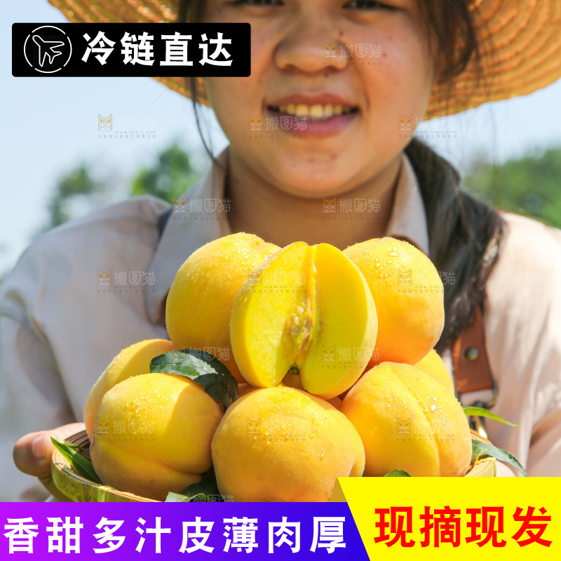 手里拿着黄毛桃