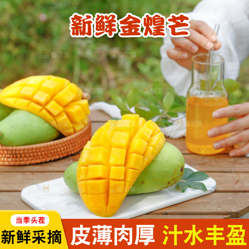 浅底上的绿皮金煌芒