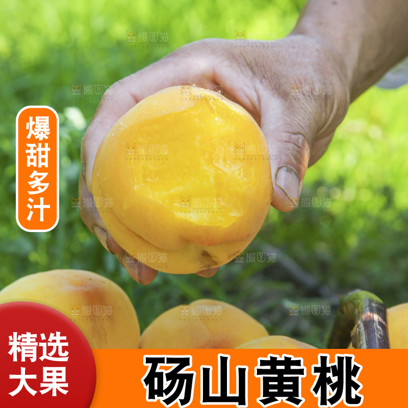 手里拿着黄毛桃