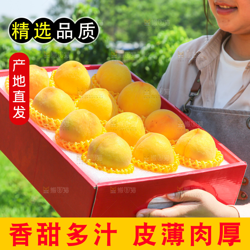 手里拿着黄毛桃