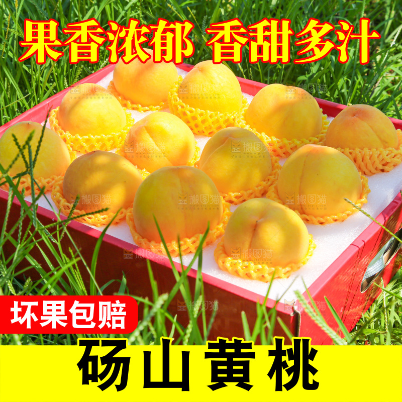 手里拿着黄毛桃