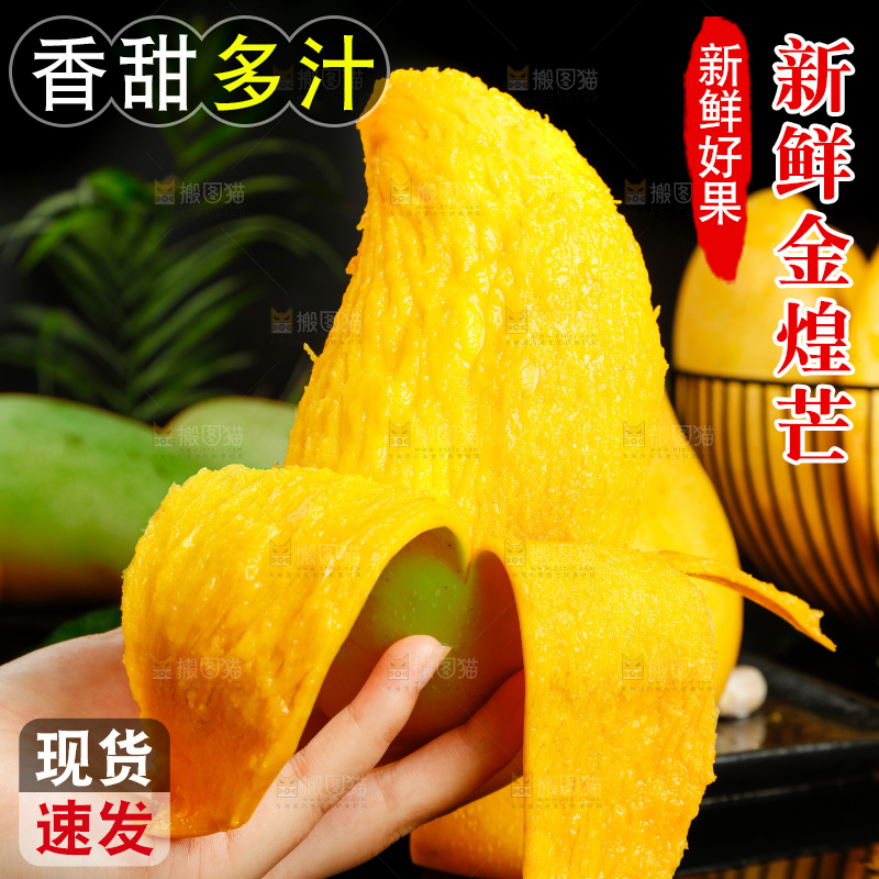 浅底上的绿皮金煌芒