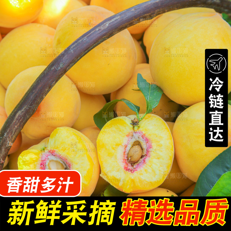 手里拿着黄毛桃