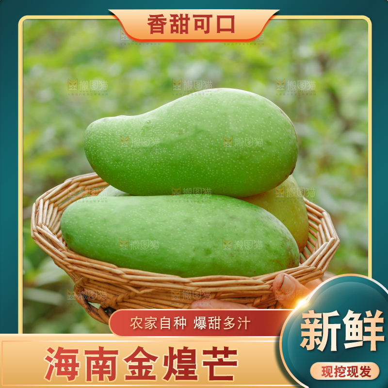 浅底上的绿皮金煌芒