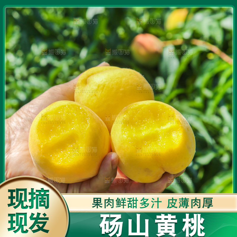 手里拿着黄毛桃