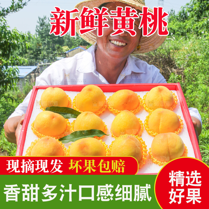 手里拿着黄毛桃