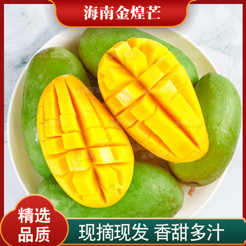 浅底上的绿皮金煌芒