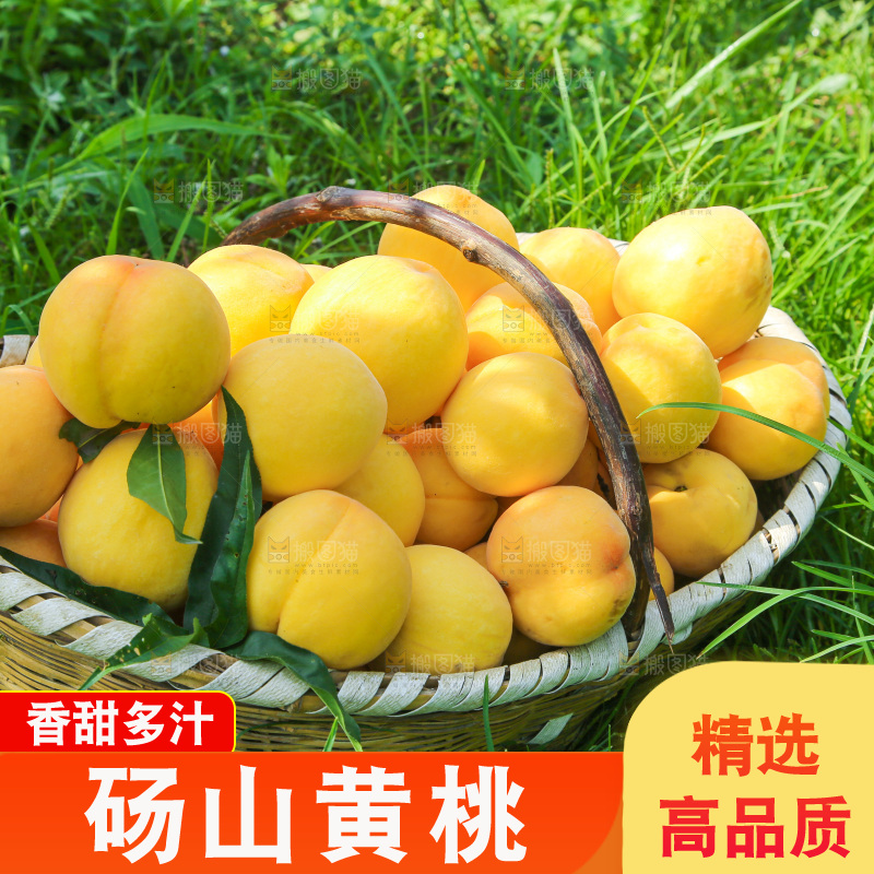 手里拿着黄毛桃