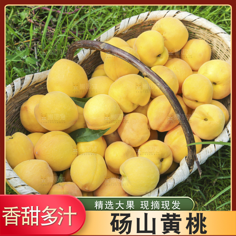 手里拿着黄毛桃