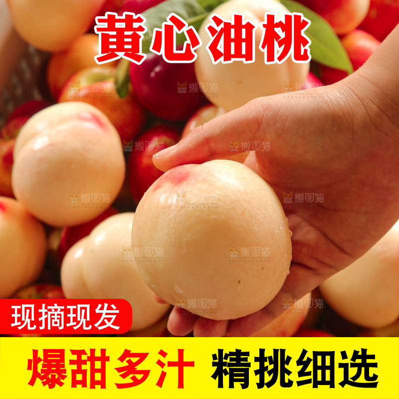 新鲜现摘的油桃