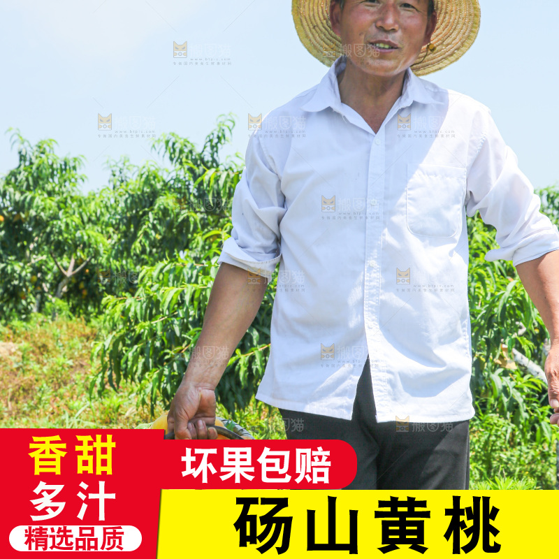 手里拿着黄毛桃