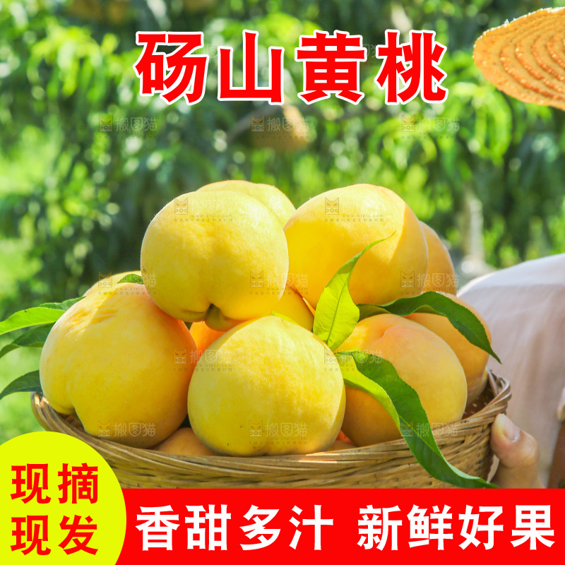 手里拿着黄毛桃