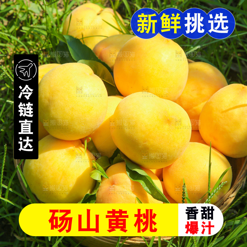 手里拿着黄毛桃