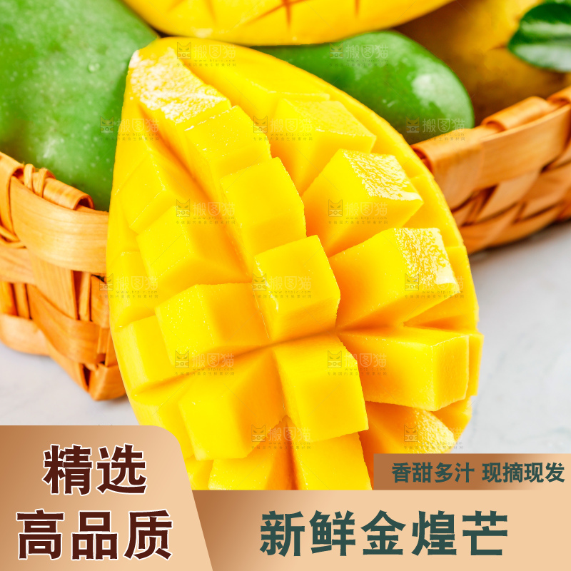 浅底上的绿皮金煌芒