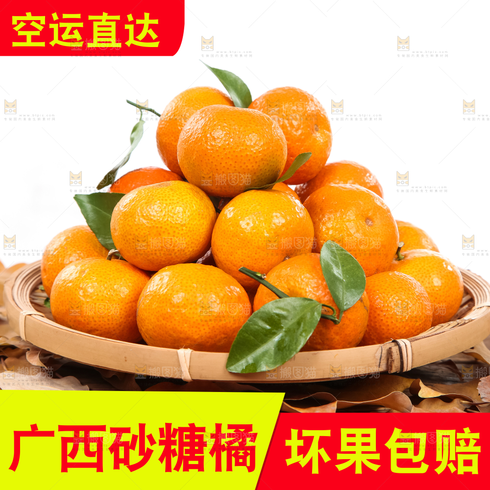 沙糖桔主图