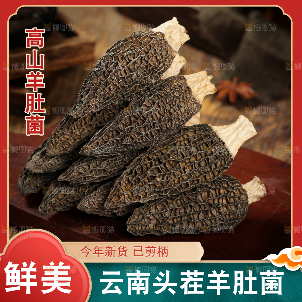 羊肚菌主图