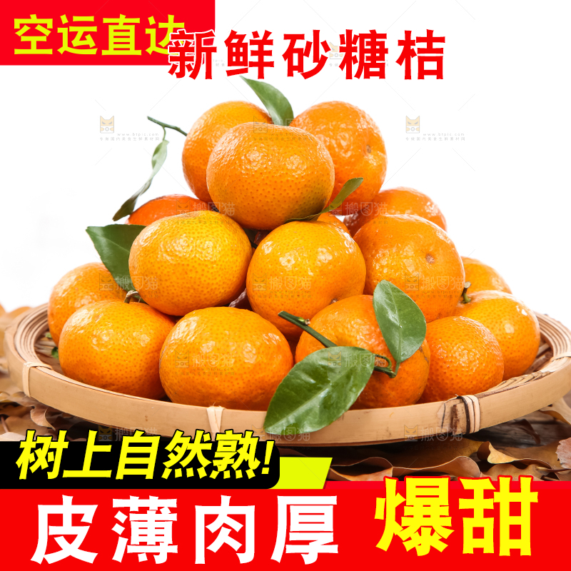 沙糖桔主图