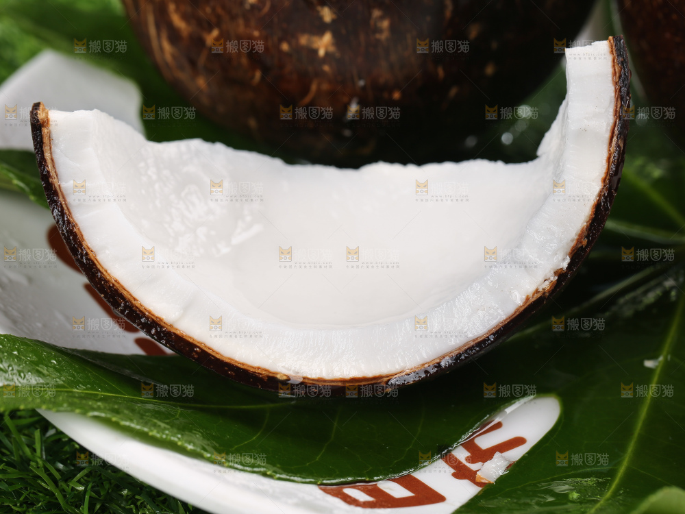 浅底上的牛奶黑椰皇
