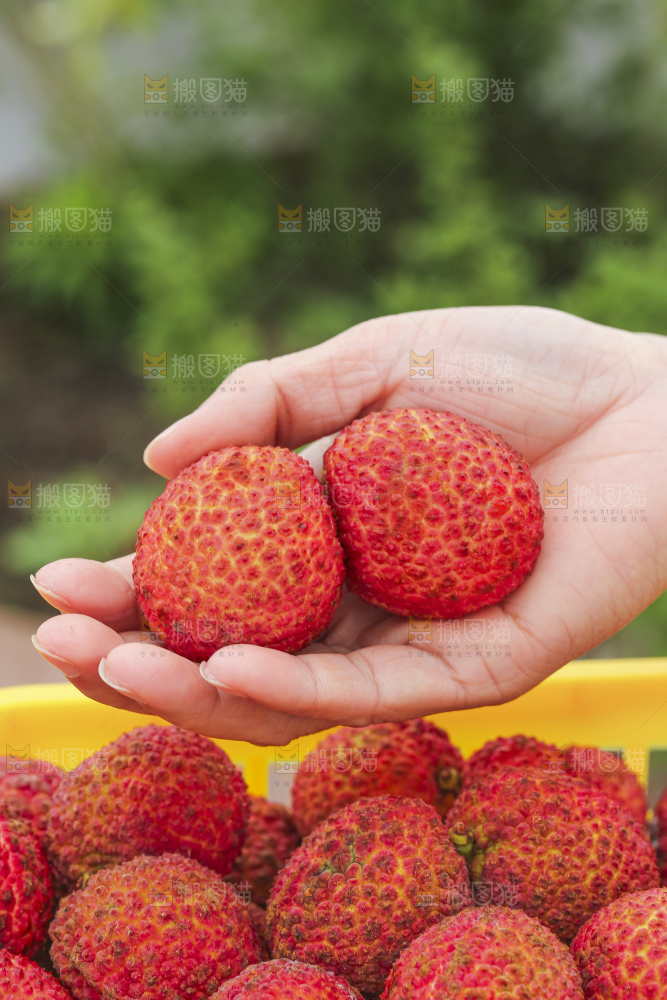 手里拿着无核荔枝