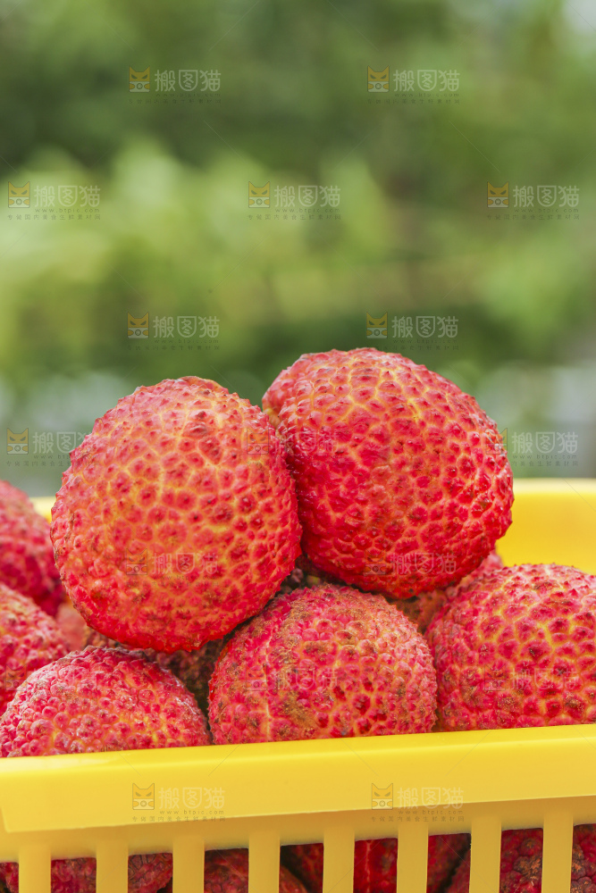 手里拿着无核荔枝