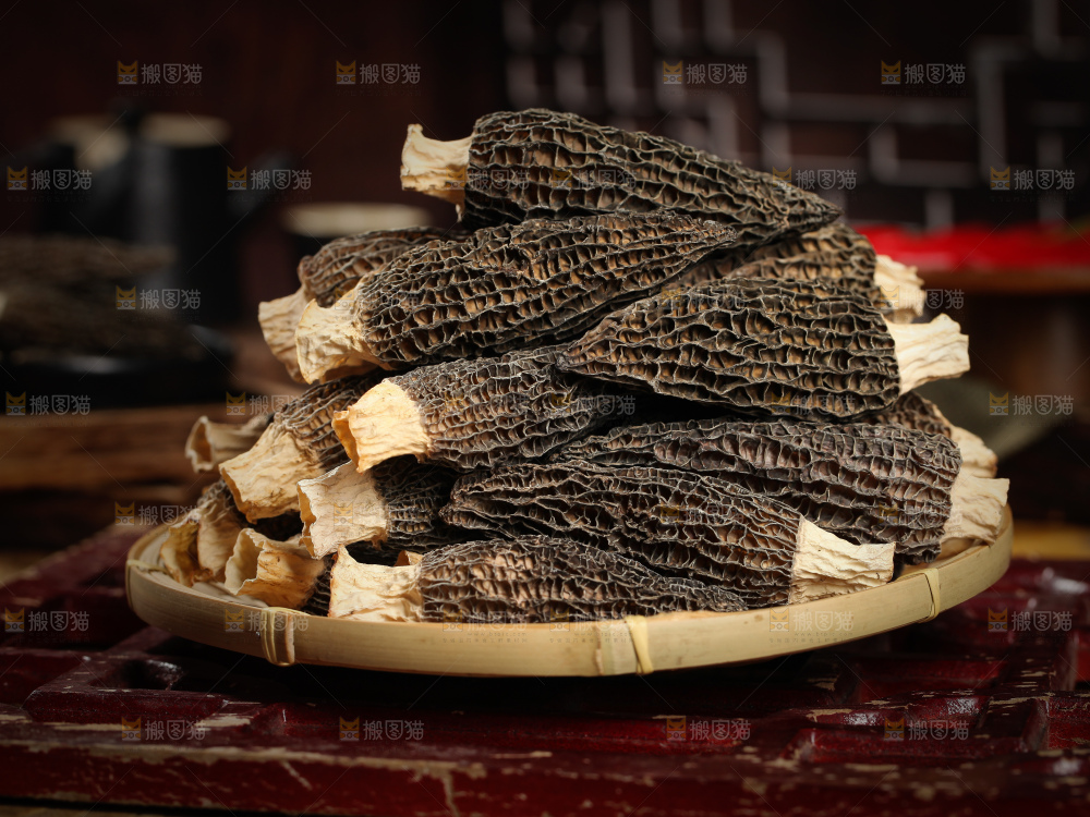 深底上的羊肚菌