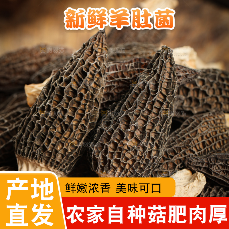 深底上的羊肚菌