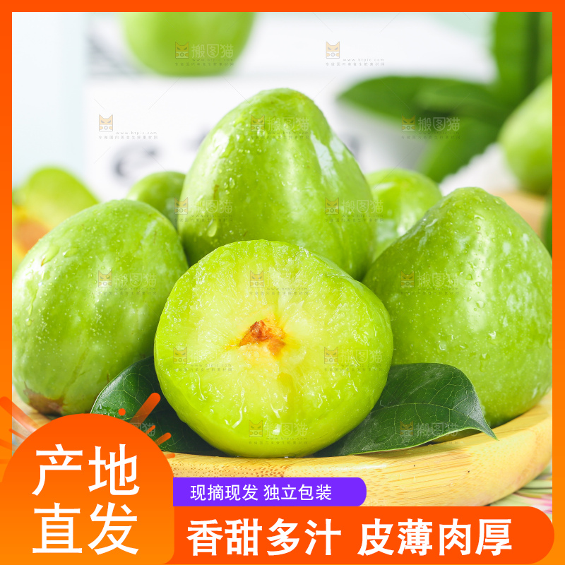 浅底上的奈李