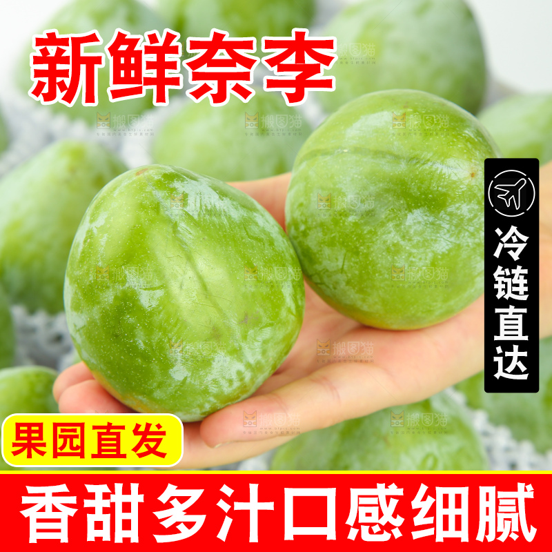 浅底上的奈李