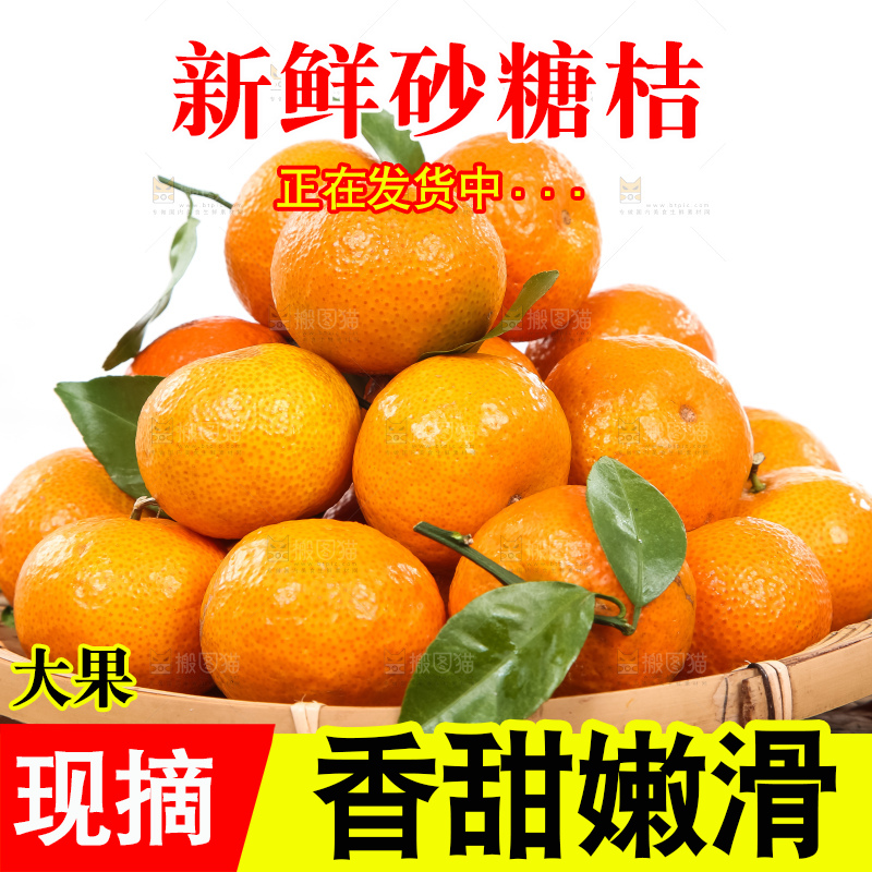 白底上的沙糖桔