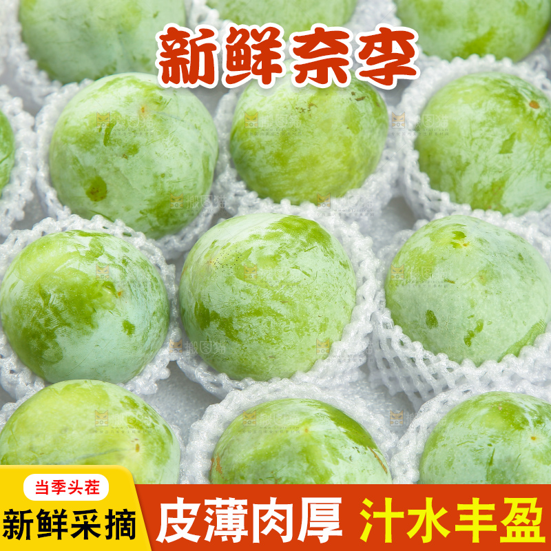 浅底上的奈李