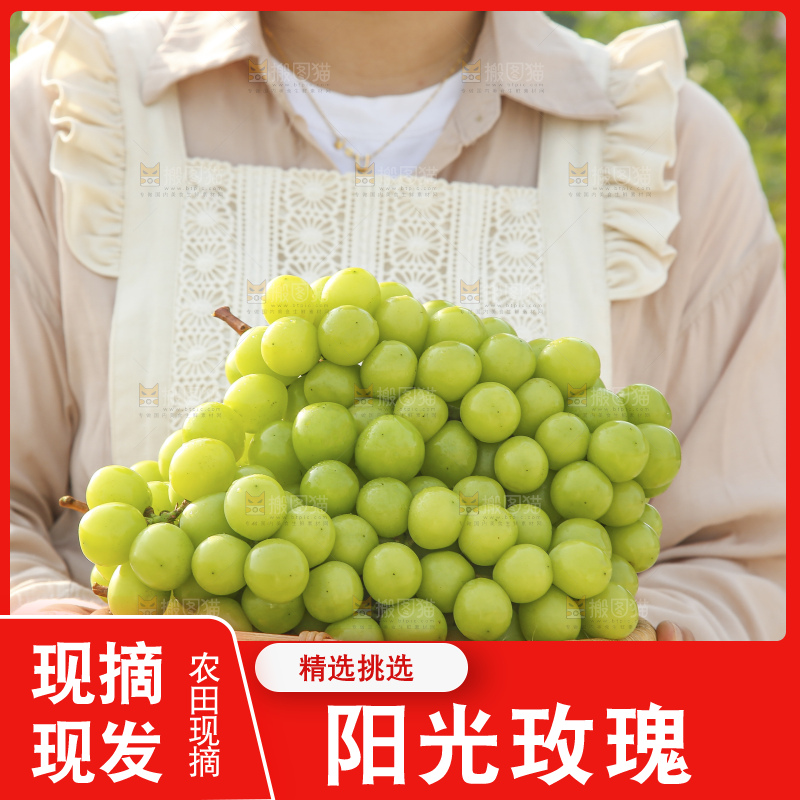手里拿着阳光玫瑰