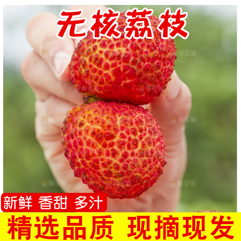 手里拿着无核荔枝