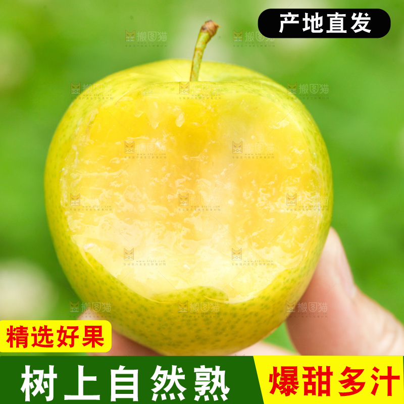 深底上的黄金奈李