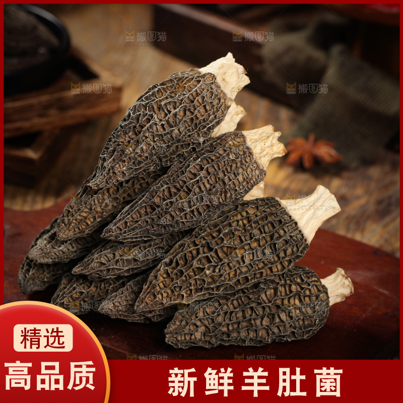 深底上的羊肚菌